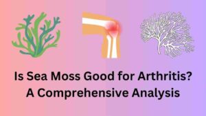 Is Sea Moss Good for Arthritis?