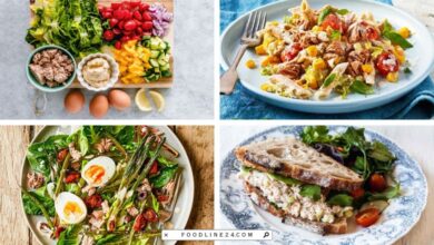 tuna fish lunch recipes