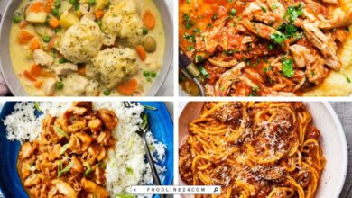 instant pot family dinner recipes