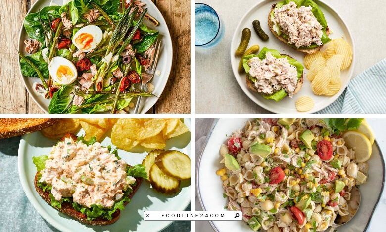 tuna lunch recipes (1)