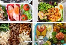 japanese lunch box recipes