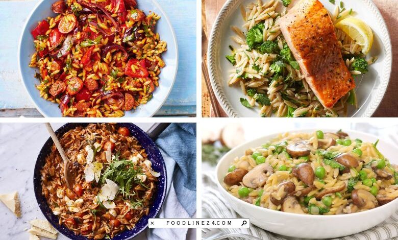 orzo lunch recipes