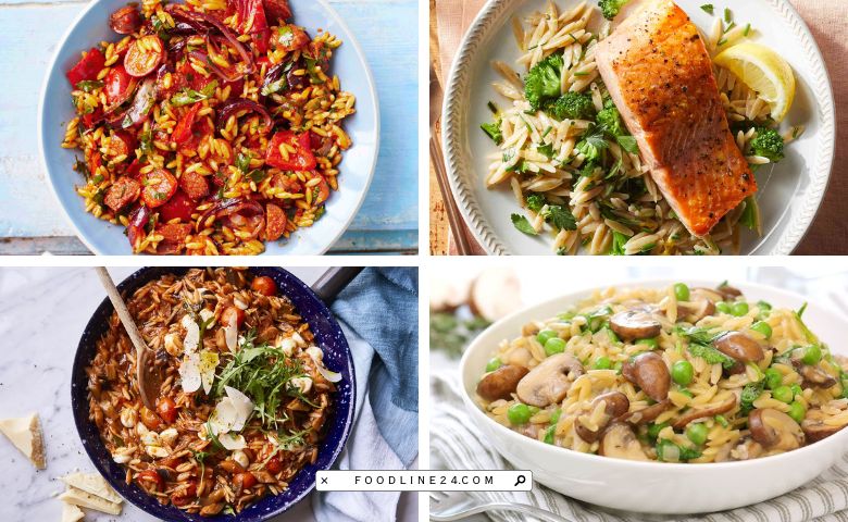 orzo lunch recipes