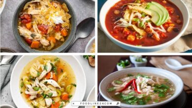 shredded chicken soup recipes